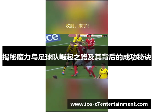揭秘魔力鸟足球队崛起之路及其背后的成功秘诀