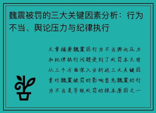 魏震被罚的三大关键因素分析：行为不当、舆论压力与纪律执行