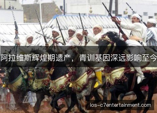 阿拉维斯辉煌期遗产，青训基因深远影响至今